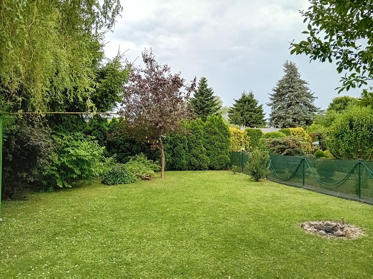 Działka rod Rzeszów Nowe Miasto, ul. Ignacego Paderewskiego. Zdjęcie 3