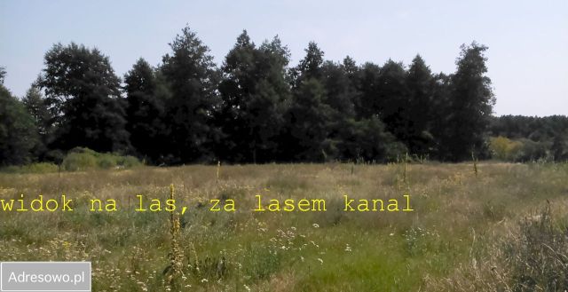 Działka budowlana Goplana. Zdjęcie 1