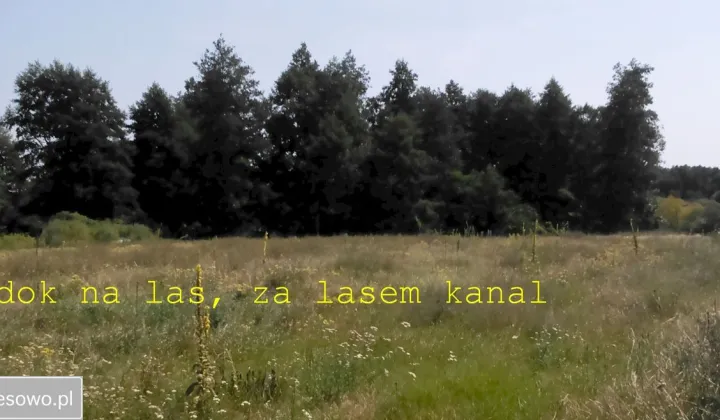 Działka budowlana Goplana