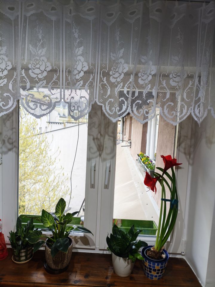 Mieszkanie 1-pokojowe Kraków Podgórze, ul. Romualda Traugutta. Zdjęcie 9