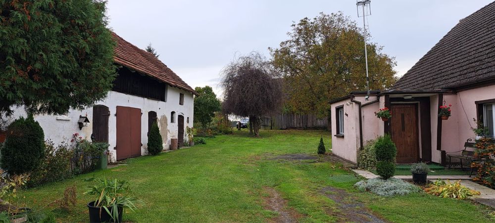 dom wolnostojący Gogołowice. Zdjęcie 5
