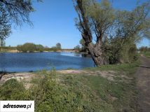 Działka rolna Pawłowice. Zdjęcie 1