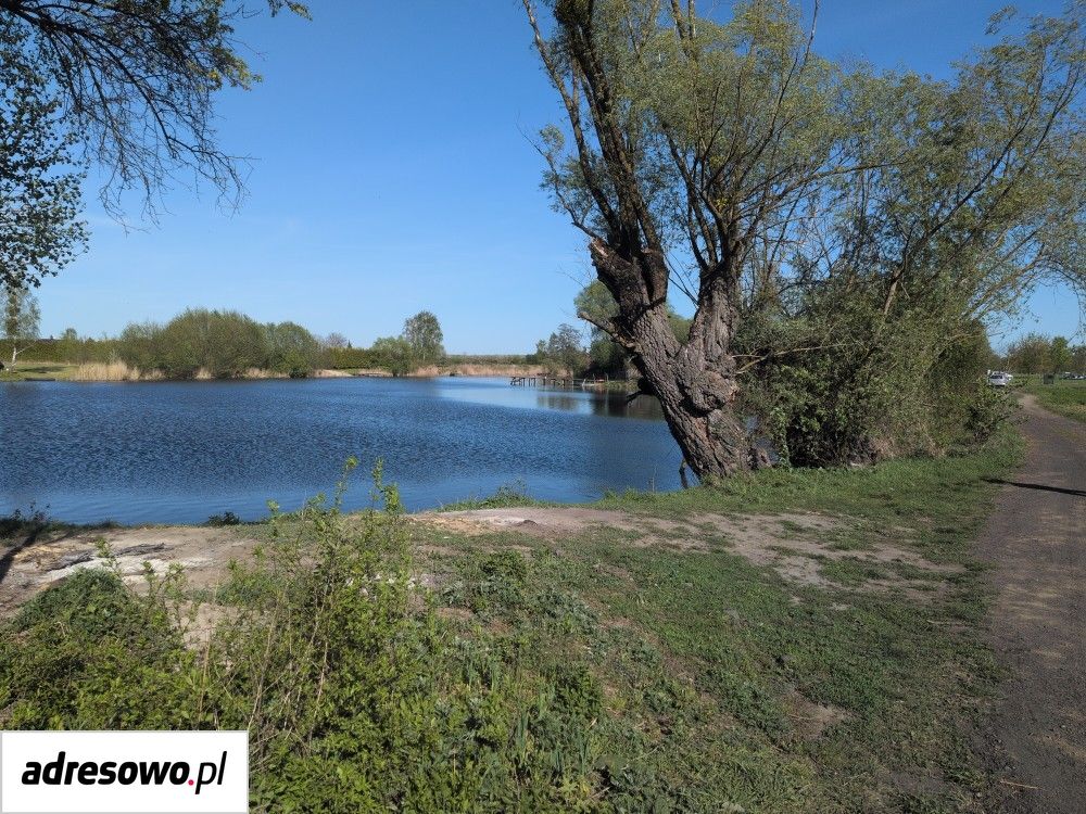 Działka rolna Pawłowice. Zdjęcie 2
