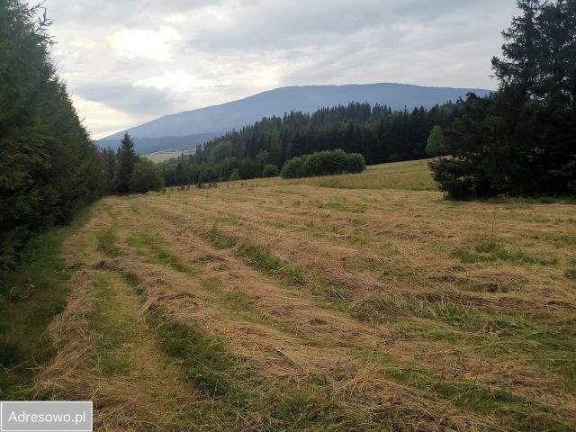 Działka rolna Lipnica Mała. Zdjęcie 1