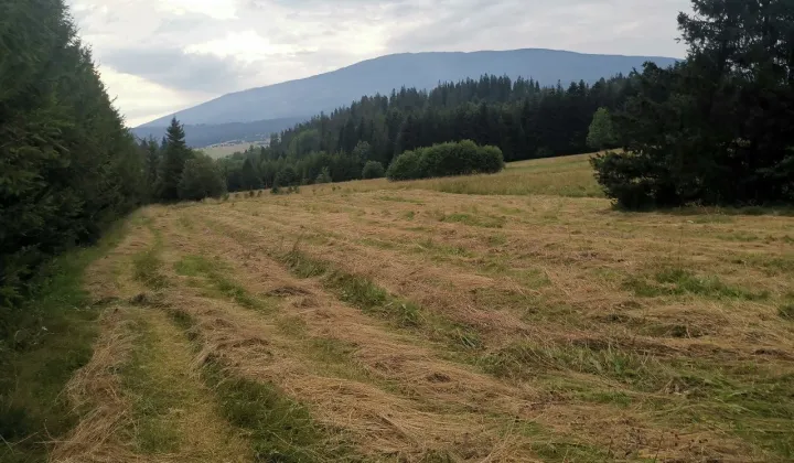 Działka rolna Lipnica Mała