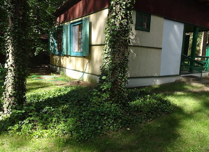 Działka budowlana Sokolniki-Las, ul. Adama Mickiewicza