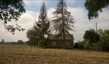 gospodarstwo, 3 pokoje Czerniczyn