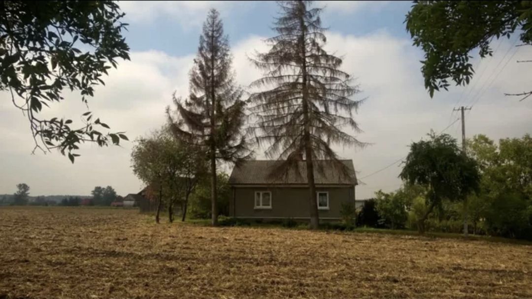 gospodarstwo, 3 pokoje Czerniczyn