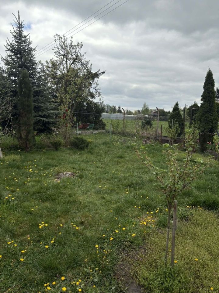 Działka rod Toruń, ul. Marii Skłodowskiej-Curie. Zdjęcie 5