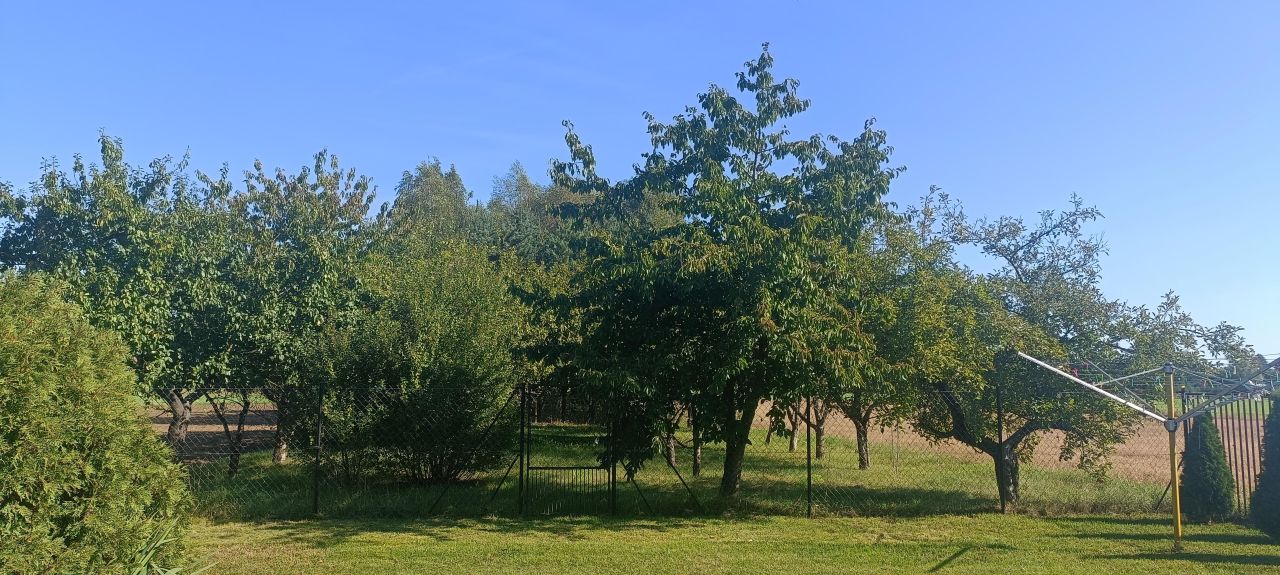 dom wolnostojący, 5 pokoi Świątkowice. Zdjęcie 7