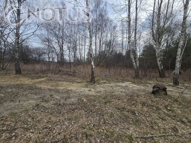 Działka budowlana Jastrzębnik. Zdjęcie 9