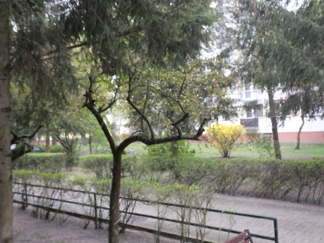 Mieszkanie 4-pokojowe Ostrołęka Centrum, ul. Henryka Sienkiewicza. Zdjęcie 12