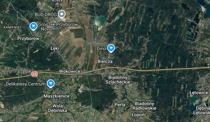 dom wolnostojący Bielcza