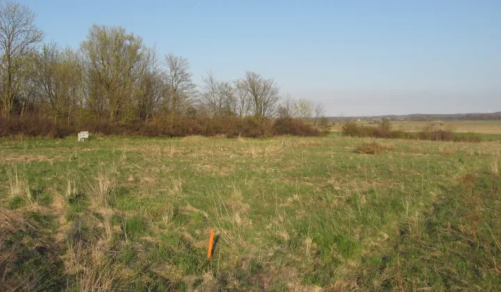 Działka budowlana Rusinowo