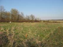 Działka budowlana Rusinowo