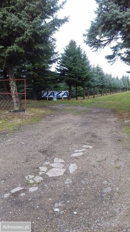 Działka budowlana Żółtki. Zdjęcie 11