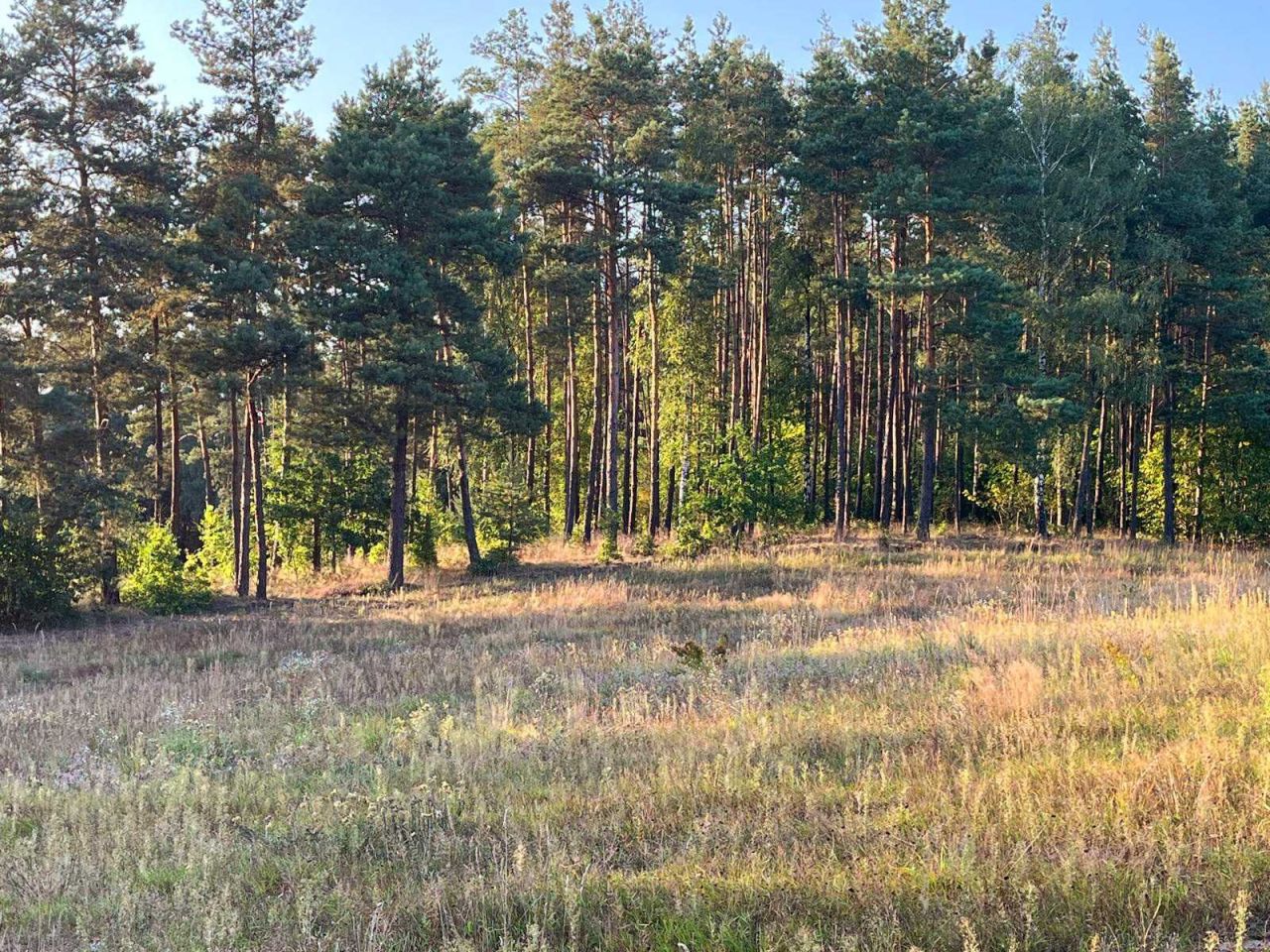 Działka budowlana Góra