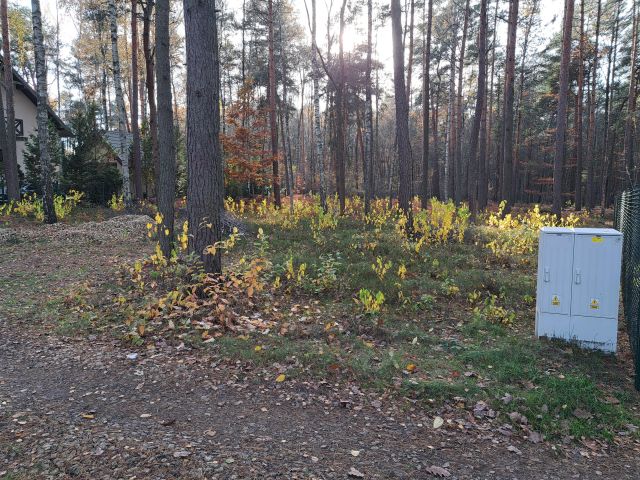 Działka budowlana Żarki-Letnisko, ul. Okrężna. Zdjęcie 1