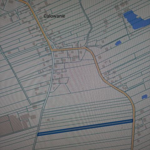 Działka rolna Całowanie. Zdjęcie 1