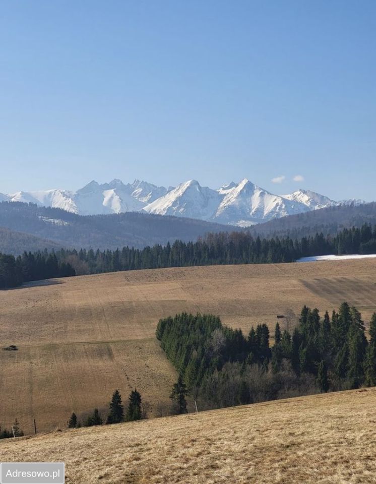 Działka rolna Łapsze Niżne. Zdjęcie 6