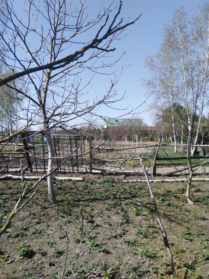 Działka rekreacyjna Oświno. Zdjęcie 5