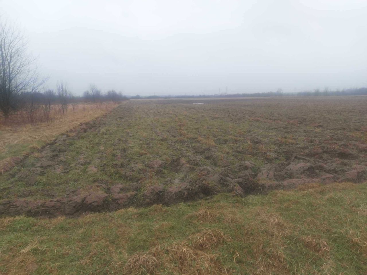 Działka rolna Pysznica. Zdjęcie 7