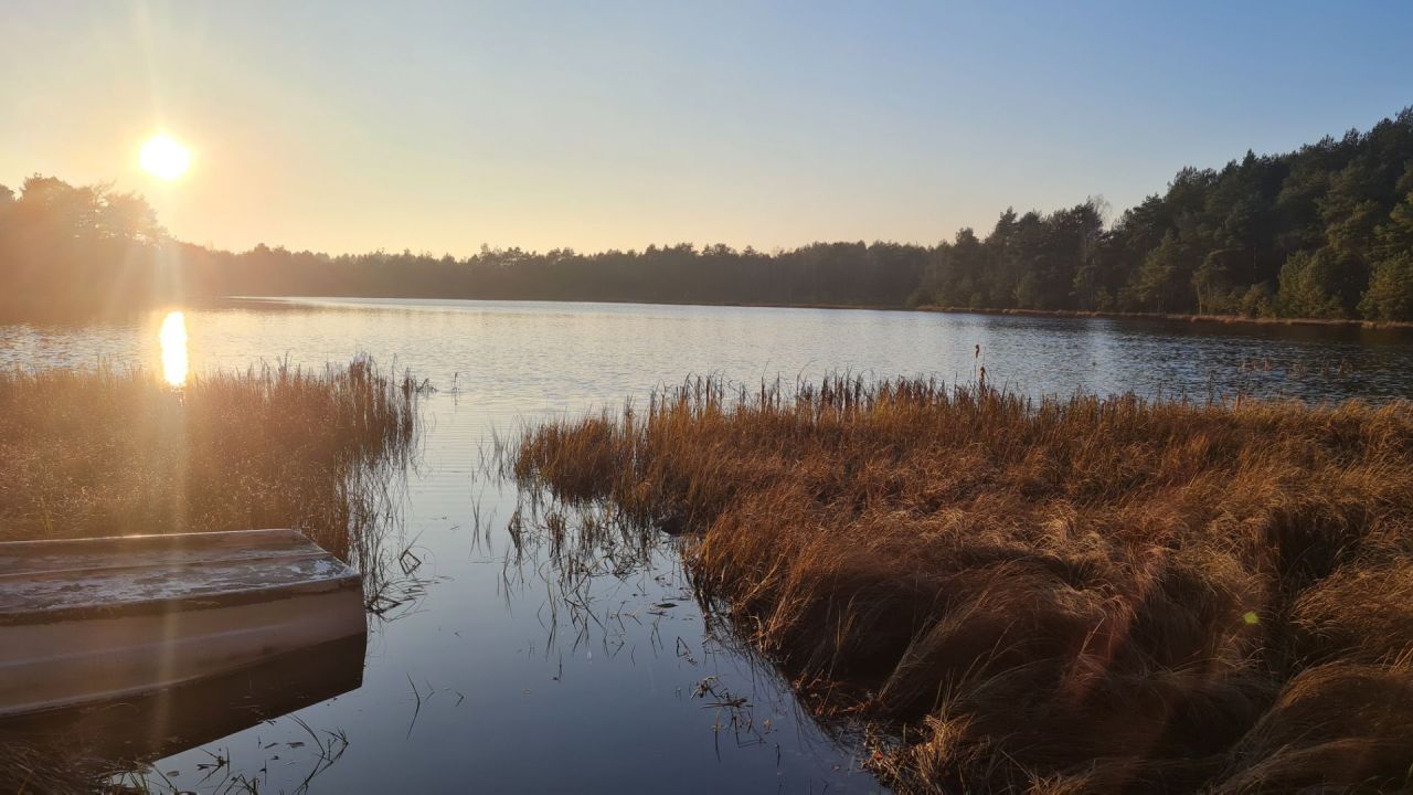 Działka inwestycyjna Lidzbark. Zdjęcie 2