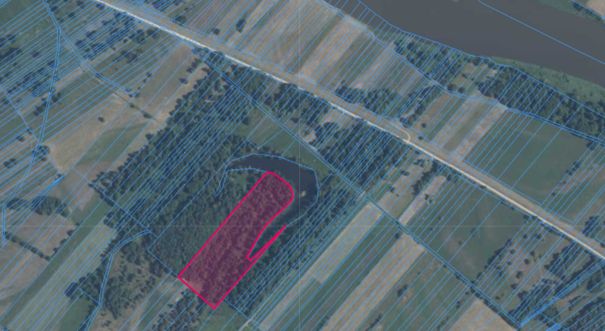 Działka rolno-budowlana Natolin Osada. Zdjęcie 6