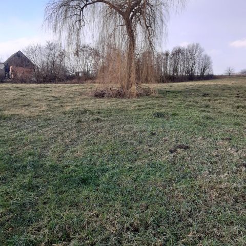 Działka rolno-budowlana Brzyków. Zdjęcie 1