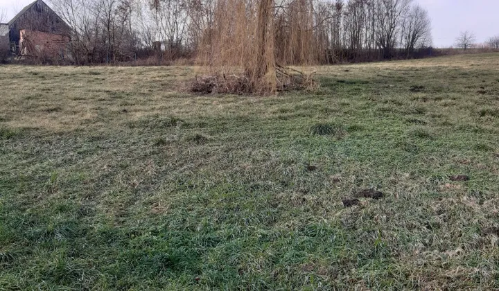 Działka rolno-budowlana Brzyków