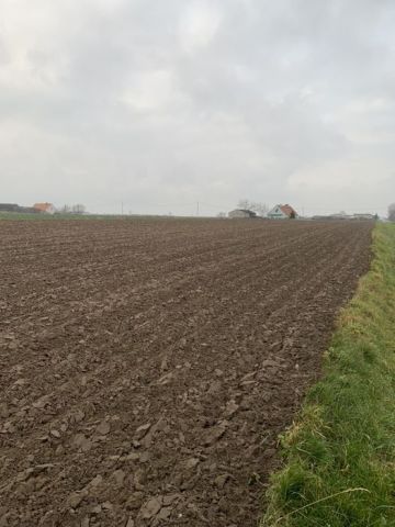 Działka rolna Wojciechowo. Zdjęcie 1