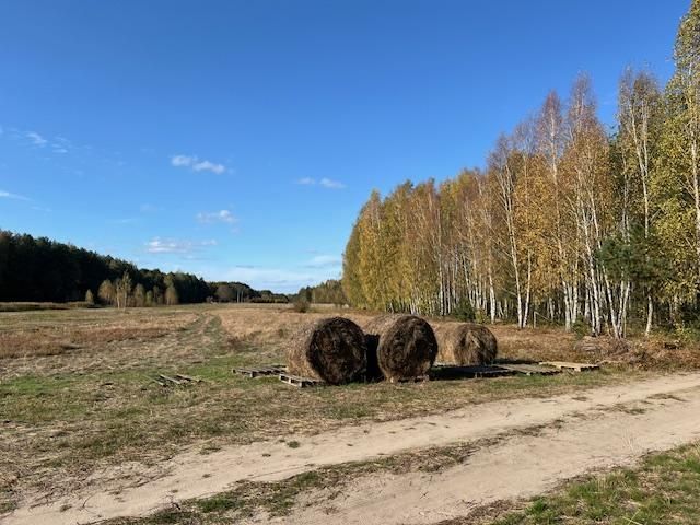 Działka siedliskowa Truskawka, ul. Wolności . Zdjęcie 3