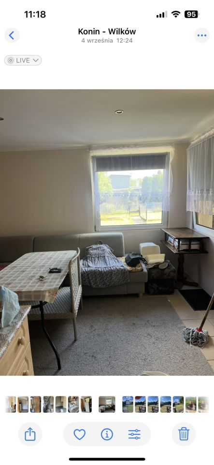 Działka rod Żychlin. Zdjęcie 2