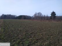 Działka budowlana Dłużka. Zdjęcie 2