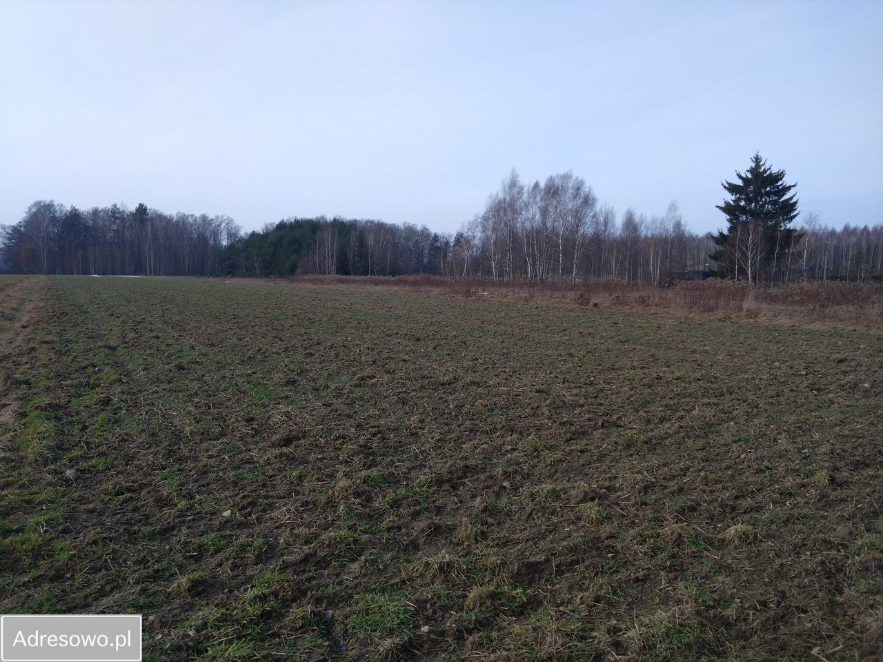 Działka budowlana Dłużka. Zdjęcie 3