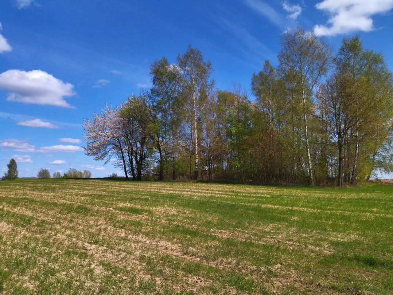 Działka budowlana Łączno. Zdjęcie 12