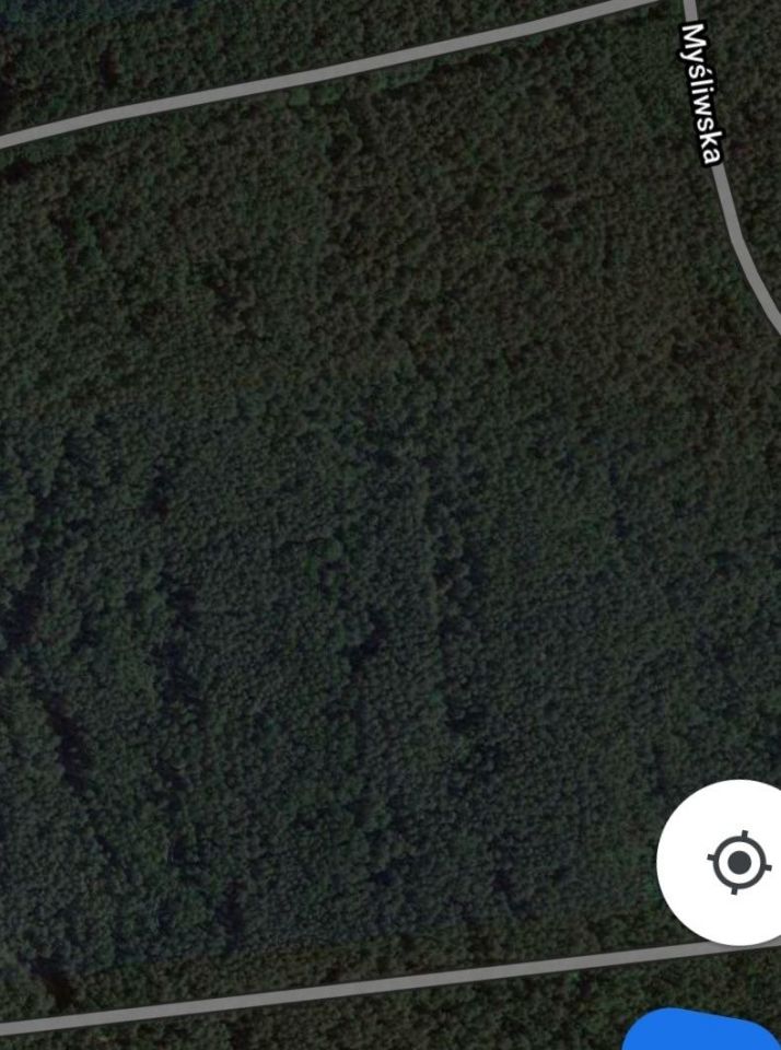 Działka leśna Suchodół. Zdjęcie 2