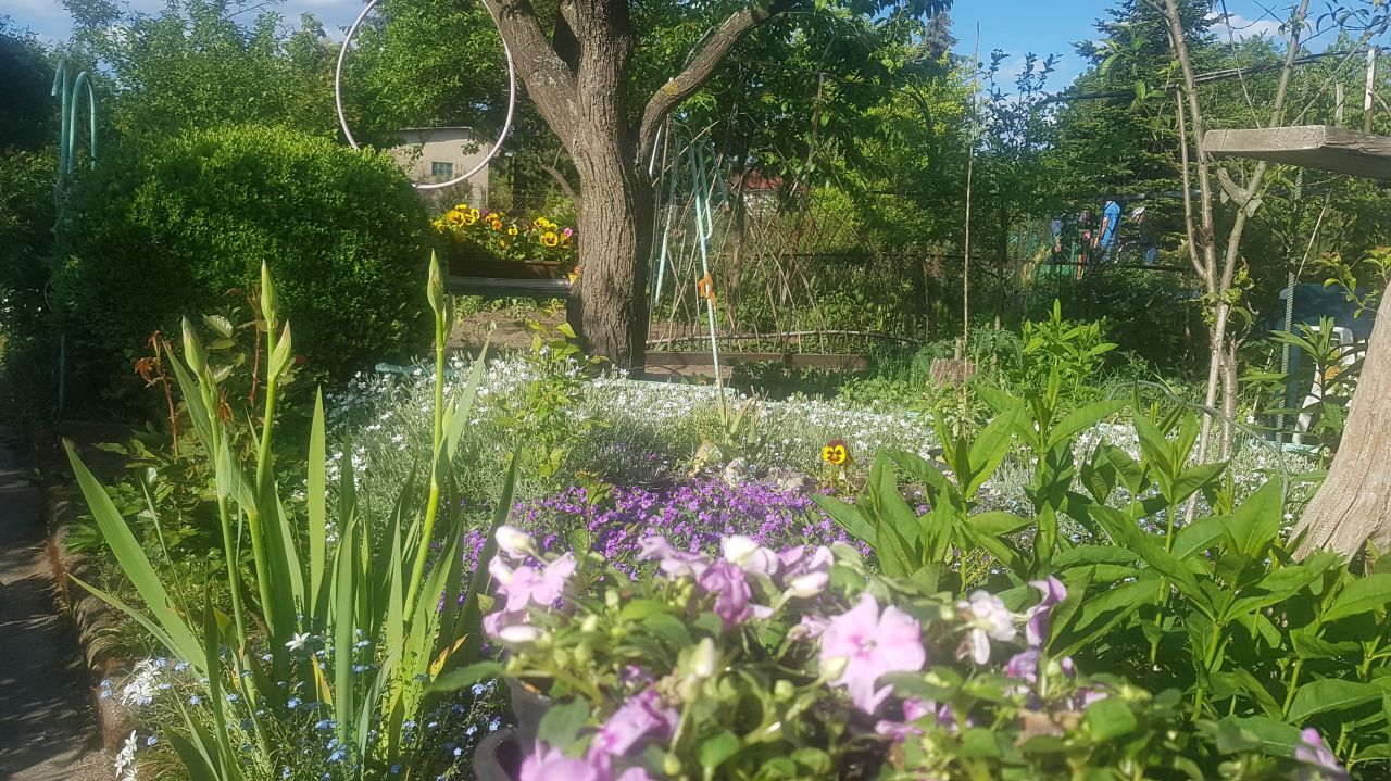 Działka rod Poznań Ławica, ul. Bukowska. Zdjęcie 4