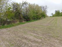 Działka rolno-budowlana Podlesie. Zdjęcie 1