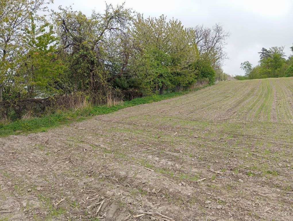 Działka rolno-budowlana Podlesie. Zdjęcie 2