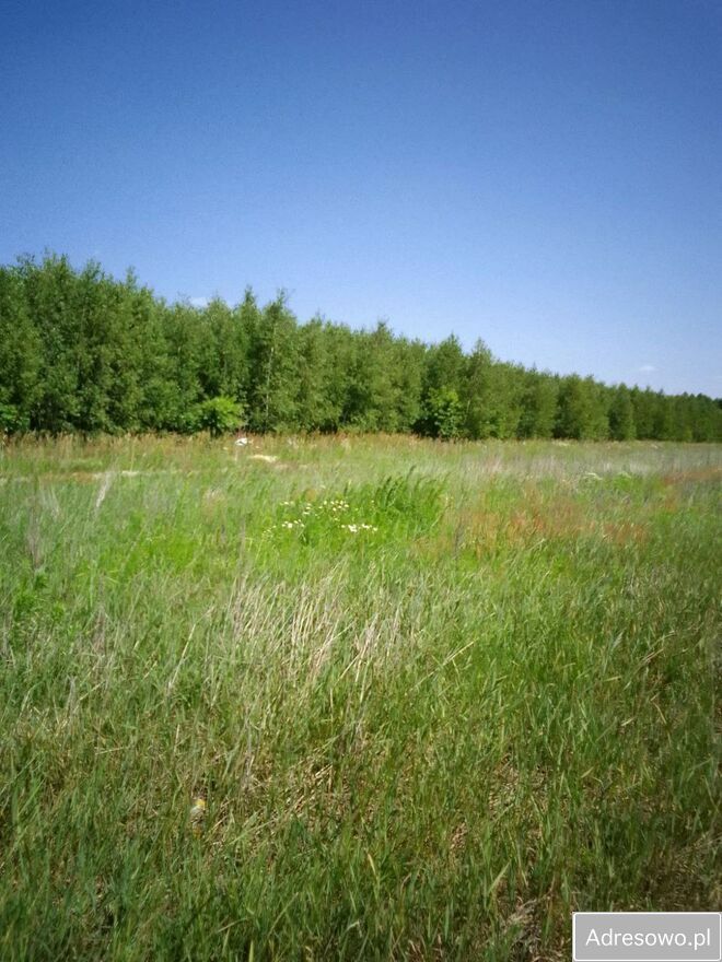 Działka budowlana Brańszczyk. Zdjęcie 10