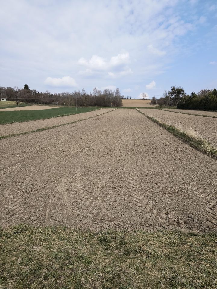 Działka budowlana Rogalów. Zdjęcie 5
