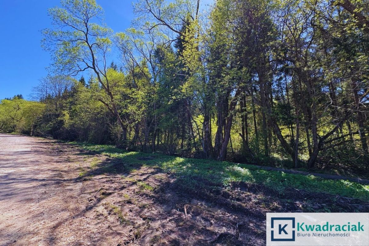 Działka inwestycyjna Cisna. Zdjęcie 9