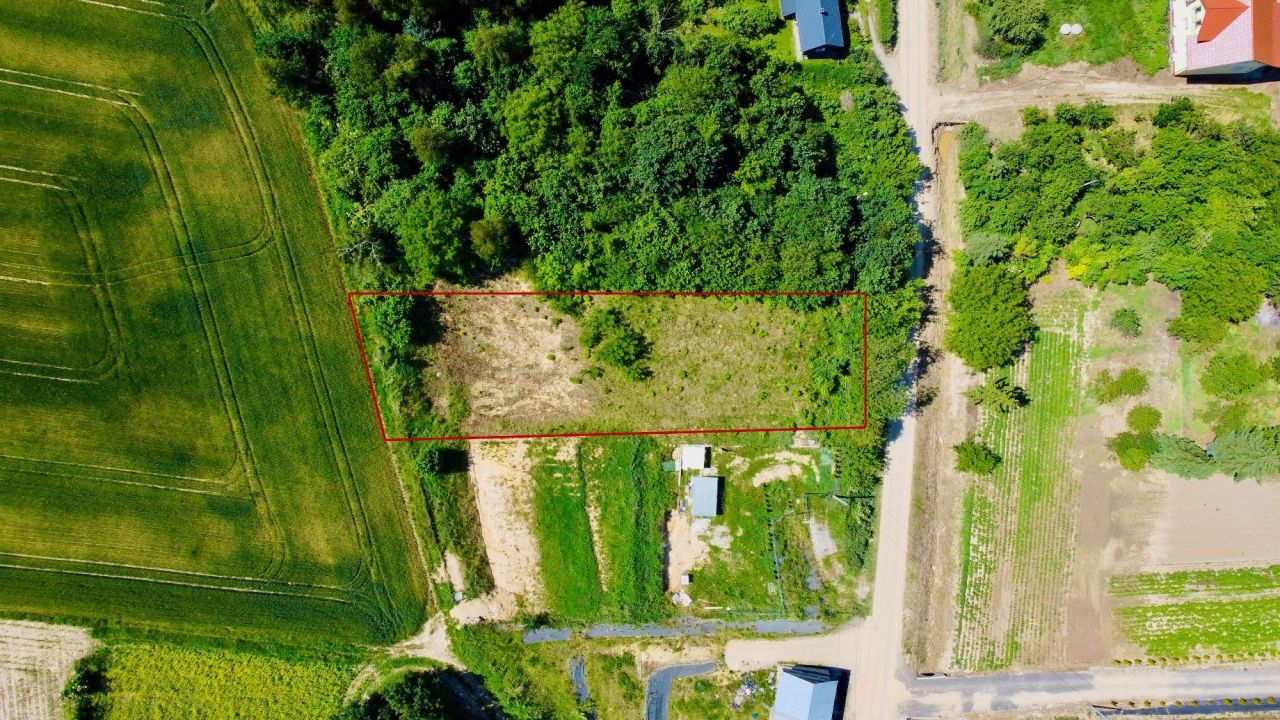 Działka rolno-budowlana Pałecznica. Zdjęcie 3