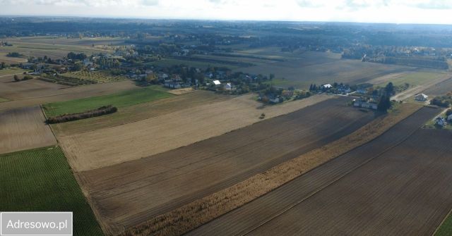 Działka rolno-budowlana Tomaszowice. Zdjęcie 1