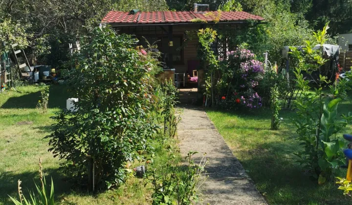 Działka rod Sosnowiec Zagórze