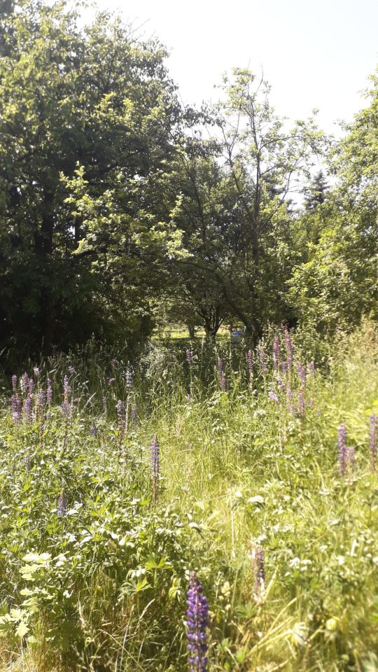 Działka budowlana Gałków Mały, ul. Mickiewicza. Zdjęcie 8