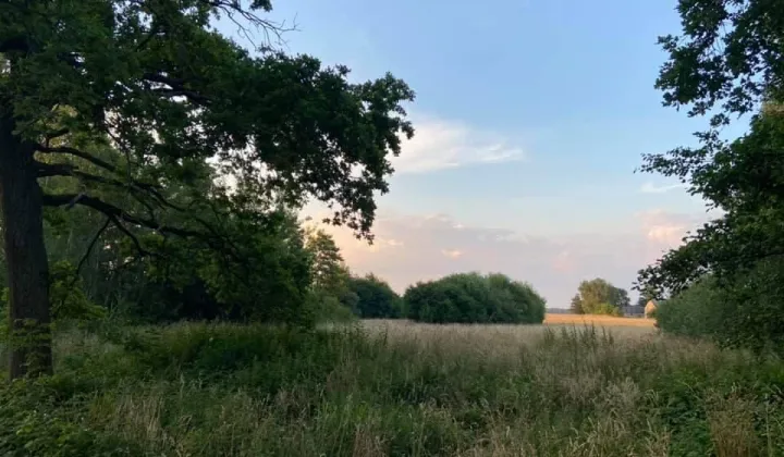 Działka rolna Stradomno