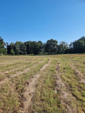 Działka budowlana Zbąszyń. Zdjęcie 1