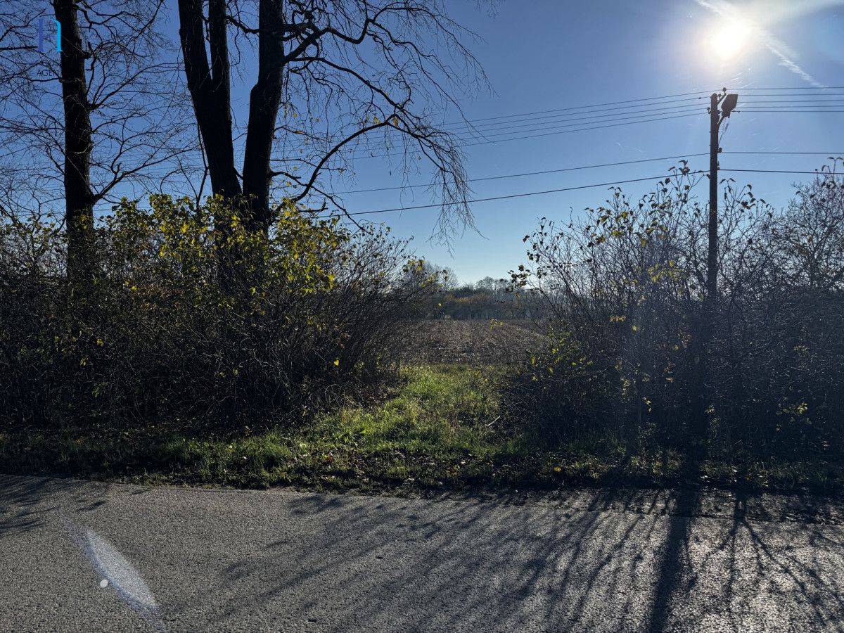 Działka siedliskowa Kolonia Łaznów. Zdjęcie 9